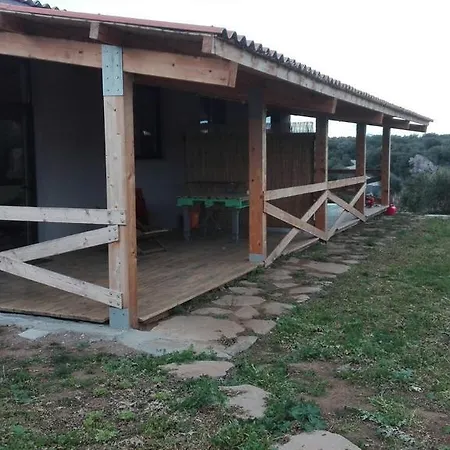 Naramanue دورغالي